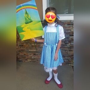 The Wizard of Oz Dorothy costume